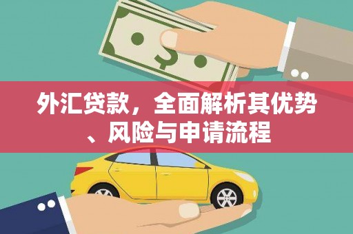 会昌外汇贷款，全面解析其优势、风险与申请流程