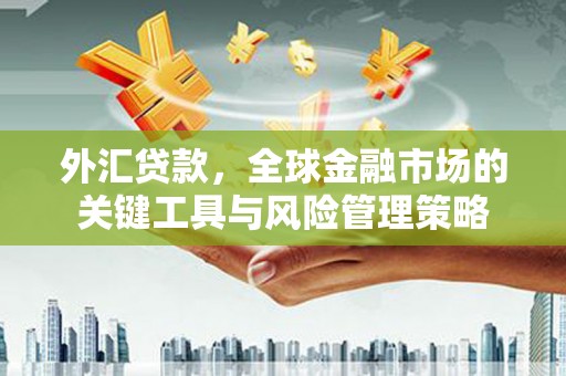 会昌外汇贷款，全球金融市场的关键工具与风险管理策略