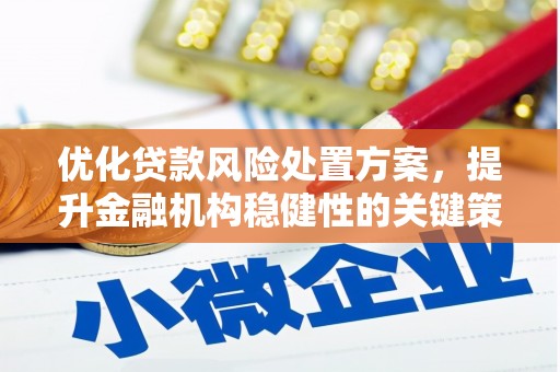 会昌优化贷款风险处置方案，提升金融机构稳健性的关键策略
