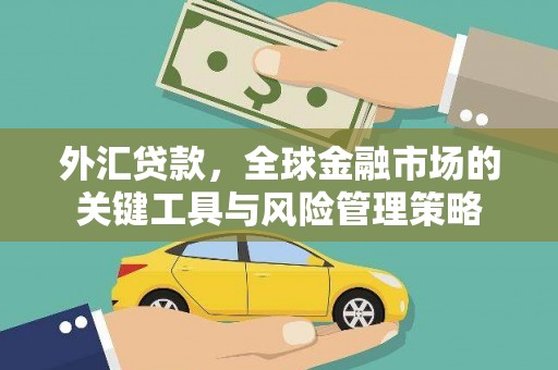 会昌外汇贷款，全球金融市场的关键工具与风险管理策略