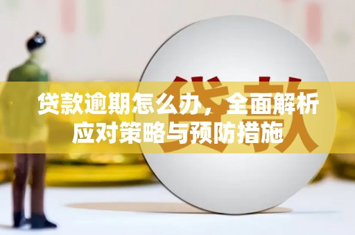 会昌贷款逾期怎么办，全面解析应对策略与预防措施