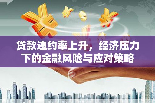 会昌贷款违约率上升，经济压力下的金融风险与应对策略