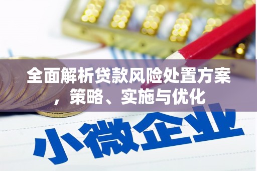 会昌全面解析贷款风险处置方案，策略、实施与优化