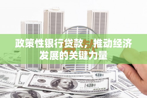 会昌政策性银行贷款，推动经济发展的关键力量