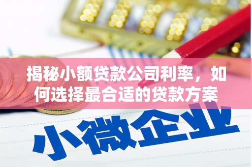 会昌揭秘小额贷款公司利率，如何选择最合适的贷款方案