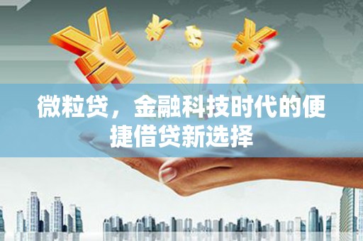 会昌微粒贷，金融科技时代的便捷借贷新选择
