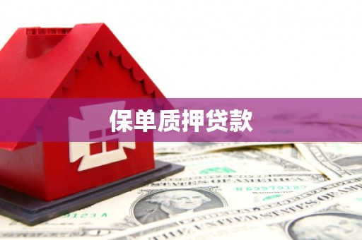 会昌保单质押贷款