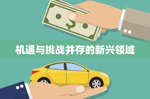 会昌机遇与挑战并存的新兴领域